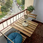 Lunii 6 Cluj-Napoca
