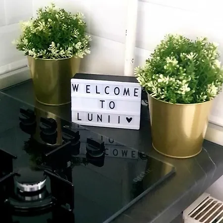 Lunii 6 *