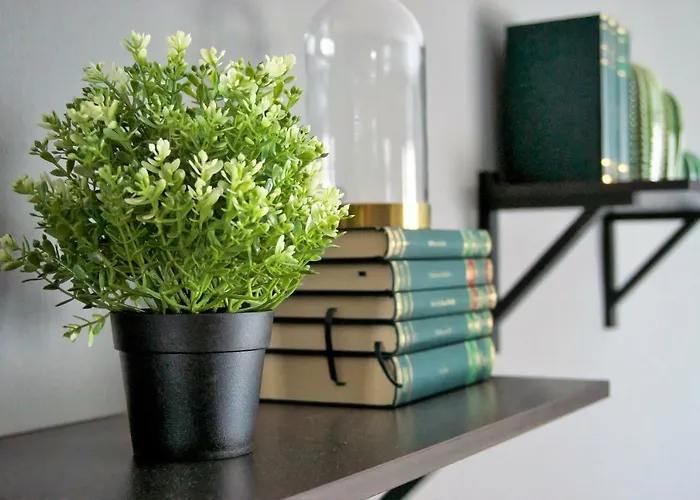 Lunii 6 * Cluj-Napoca